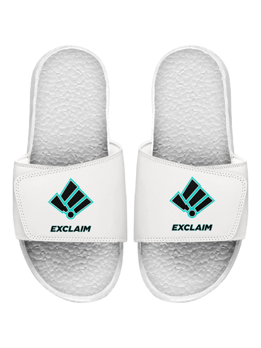 Slides