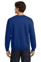 Back model photo