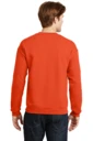 Back model photo