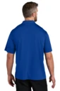 Back model photo