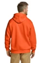 Back model photo