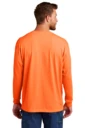 Back model photo