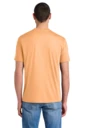 Back model photo