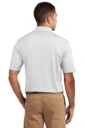 Back model photo