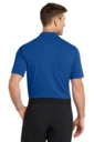 Back model photo