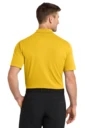 Back model photo