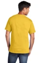 Back model photo