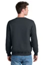 Back model photo