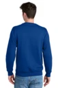 Back model photo