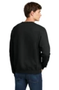 Back model photo