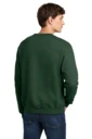 Back model photo