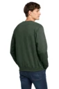 Back model photo