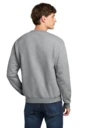 Back model photo