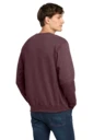 Back model photo