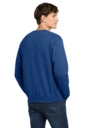 Back model photo