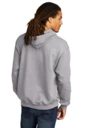 Back model photo
