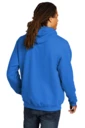 Back model photo