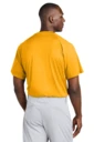 Back model photo