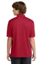 Back model photo