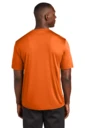 Back model photo