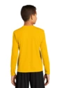Back model photo