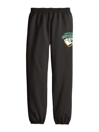 Youth Core Fleece Sweatpant preview, front