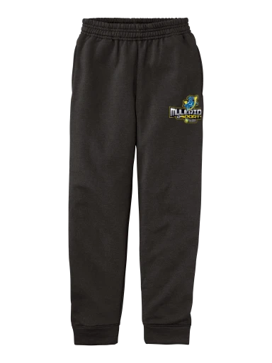 Youth Core Fleece Jogger preview, front