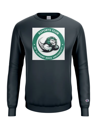 Champion Reverse Weave Crewneck Sweatshirt preview, front
