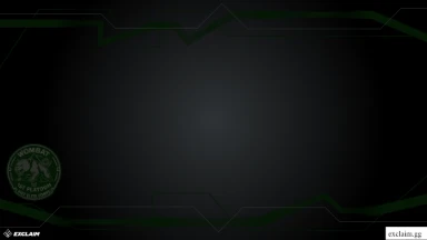 Wombat Twitch Overlay preview, front