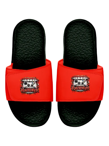 FF Slides preview, front
