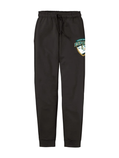 Core Fleece Jogger preview, front