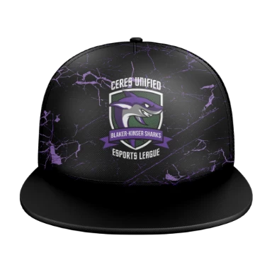 5 Panel Mesh Flat Bill Sublimated Trucker Cap preview, front