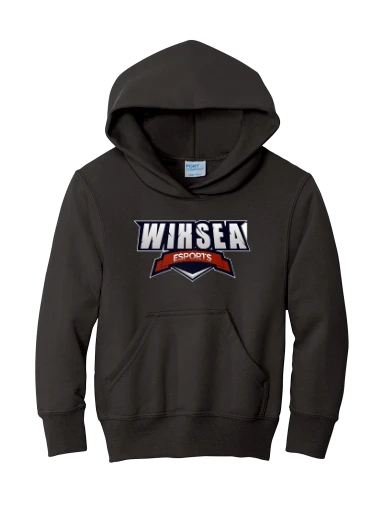 Youth Core Fleece Pullover Hooded Sweatshirt preview, front