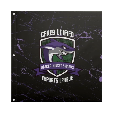 Sublimated Flag with Grommets - 24"x24" preview, front