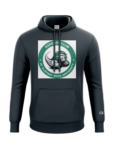 Champion Reverse Weave Hooded Sweatshirt preview, front