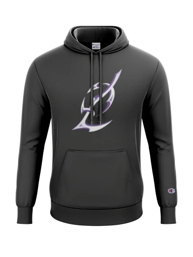 Champion Reverse Weave Hooded Sweatshirt preview, front