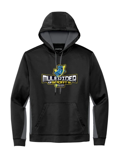 Sport-Wick Fleece Colorblock Hooded Pullover preview, front