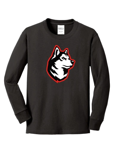 Youth Long Sleeve Core Cotton Tee preview, front
