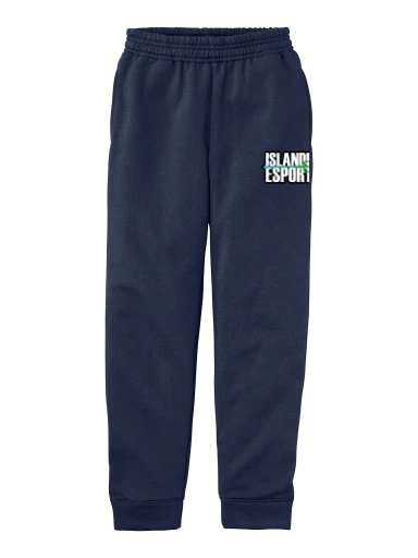 Youth Core Fleece Jogger preview, front
