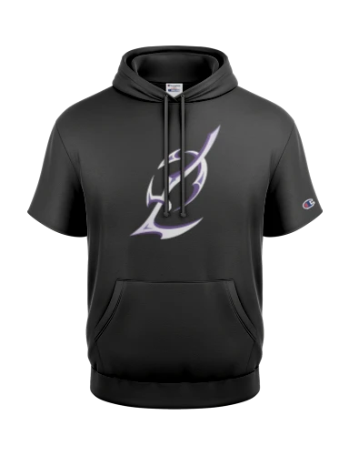 Champion Reverse Weave Short Sleeve Hooded Sweatshirt preview, front