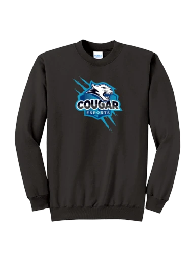Core Fleece Crewneck Sweatshirt preview, front