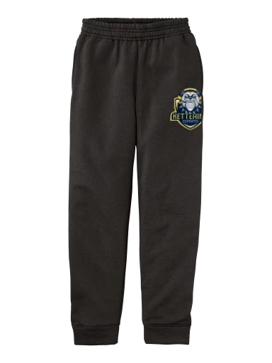 Youth Core Fleece Jogger preview, front