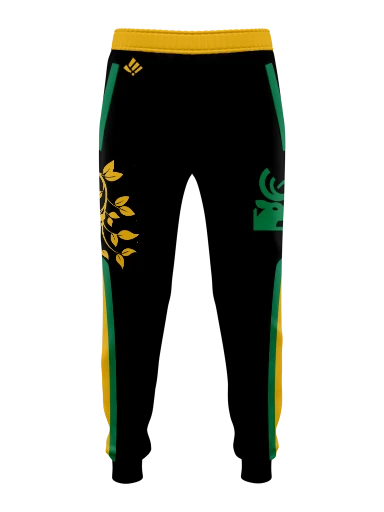 Artemis Joggers preview, front