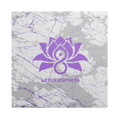 Sublimated Flag with Grommets - 24"x24" preview, front