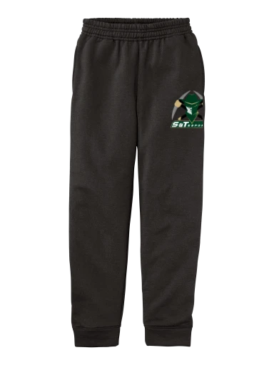 Youth Core Fleece Jogger preview, front