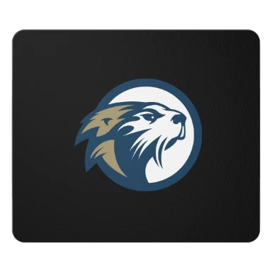 Gaming and Esports Club MP preview, front