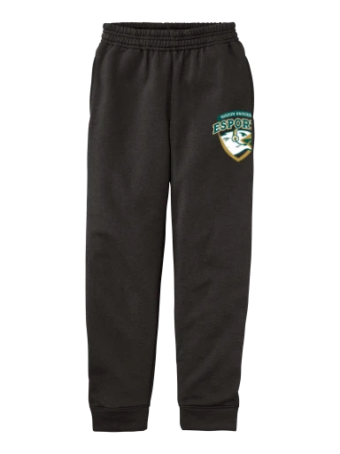 Youth Core Fleece Jogger preview, front