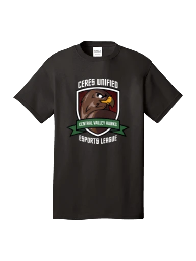 District Perfect Tri Tee preview, front