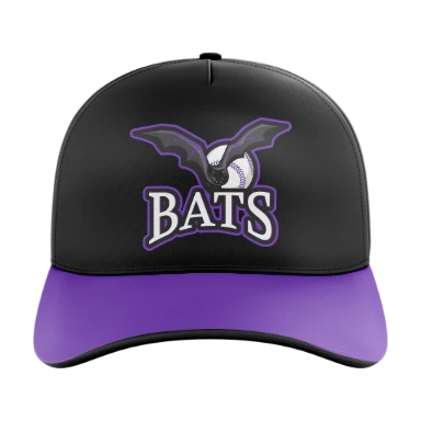 Sublimated 5 Panel Curved Bill Cap preview, front