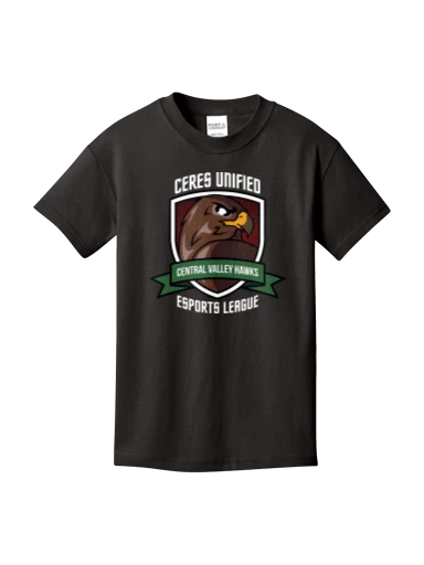 Port & Co Youth Core Cotton Tee preview, front